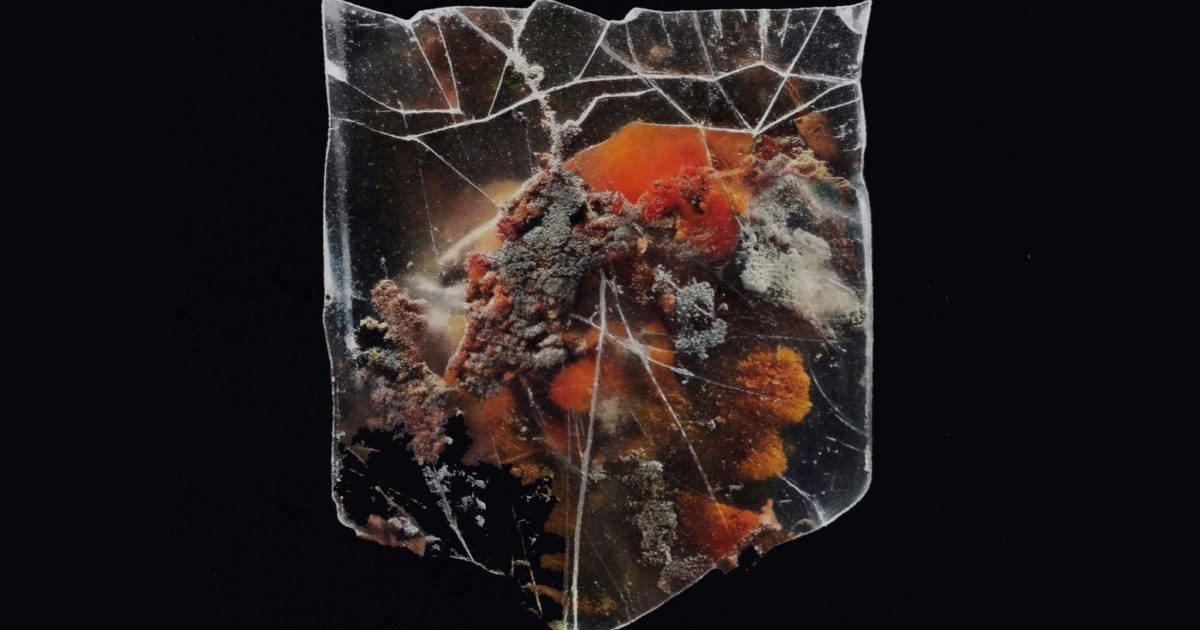 Album review: Shields – Death & Connection