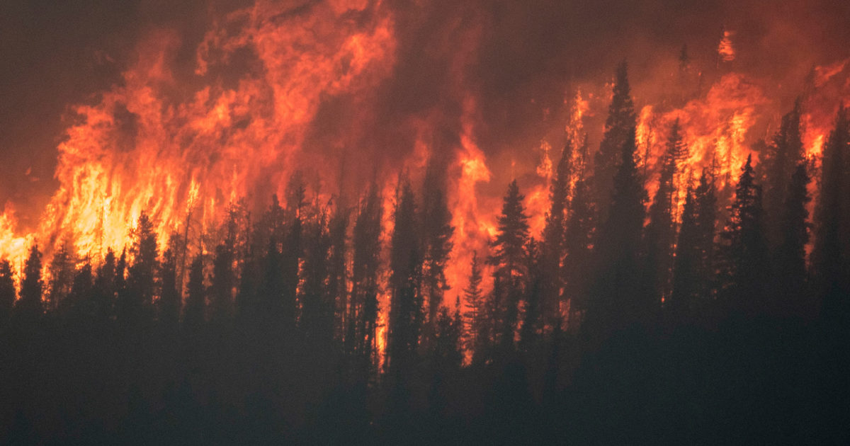 Album review: Winterfylleth – The Unyielding Season