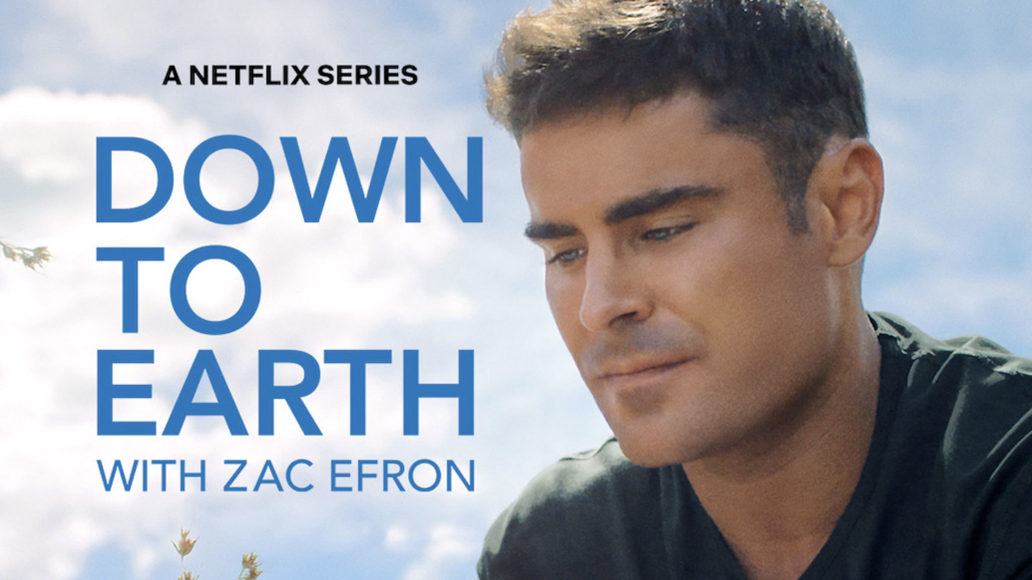 Down to Earth with Zac Efron - Wikipedia