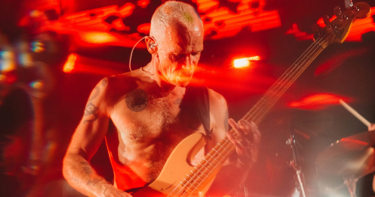 Red Hot Chili Peppers Flea Guest Stars In New Star Wars Kerrang