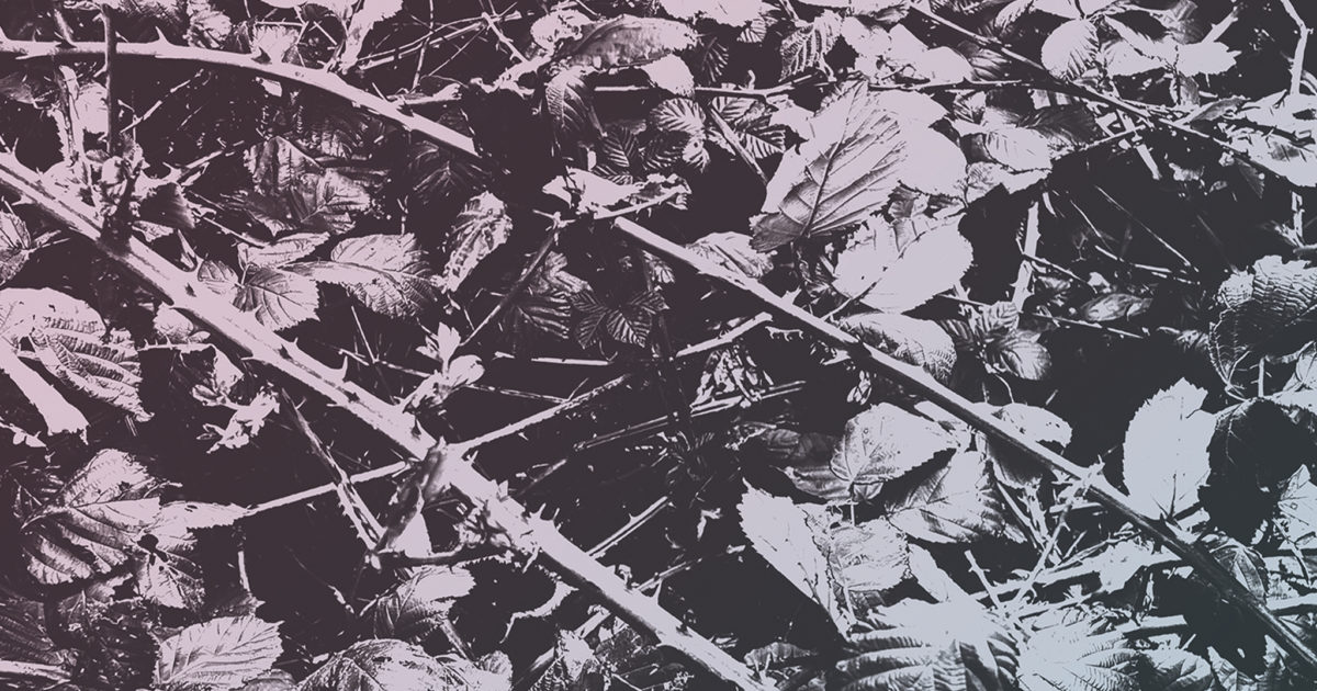 Album review: Armed For Apocalypse – The Earth Is Breathing Beneath Me