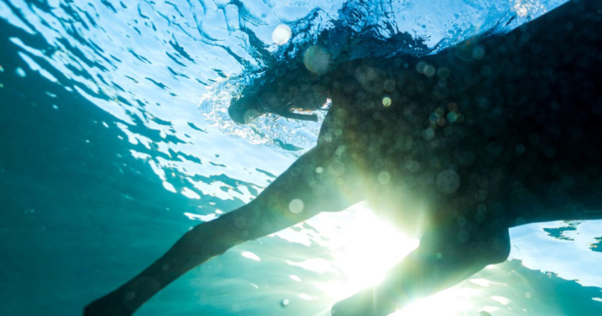 Album review: Dream Nails – You Wish